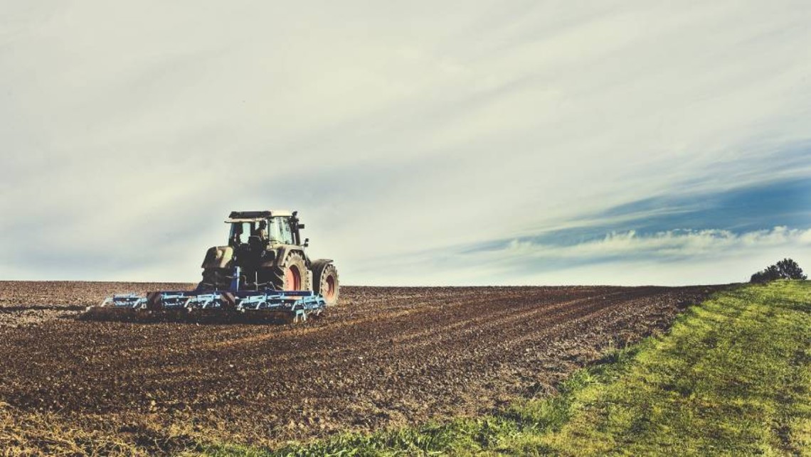 boekhouder voor agrarische sector