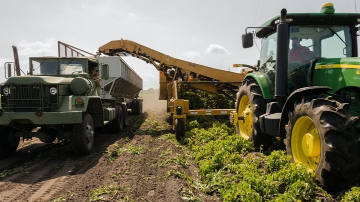 boekhouder voor agrarische sector